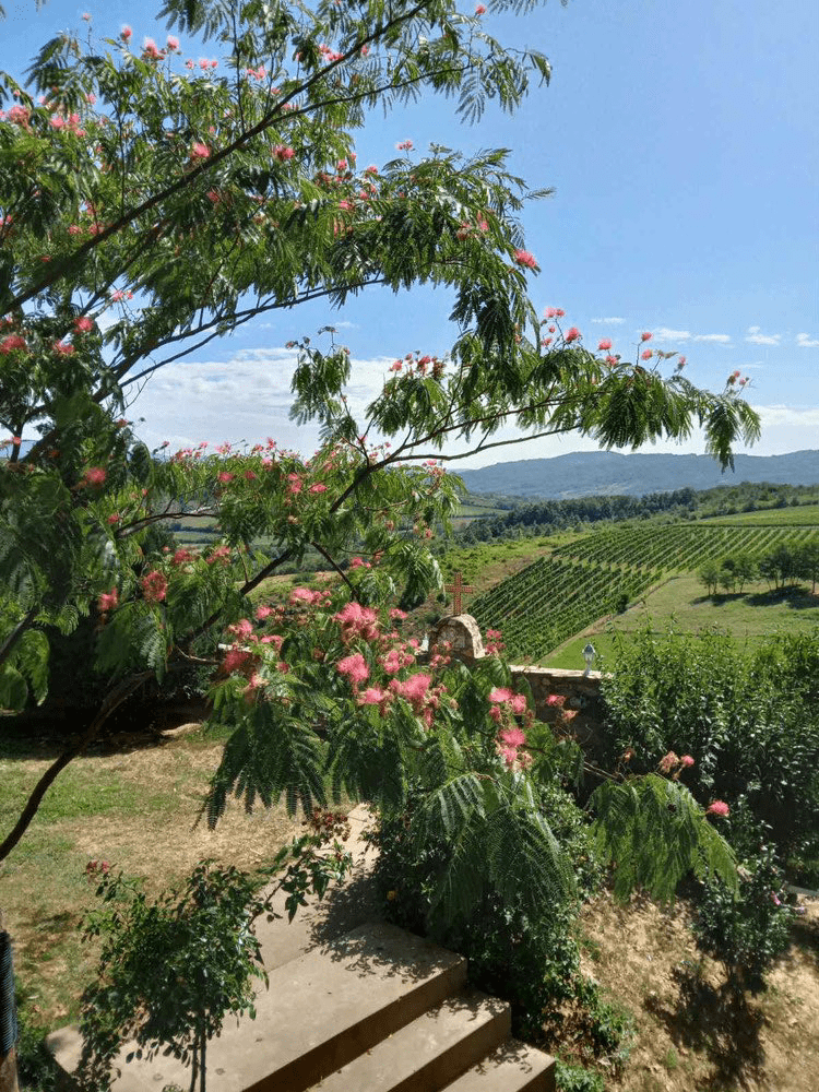 Manastir slika3